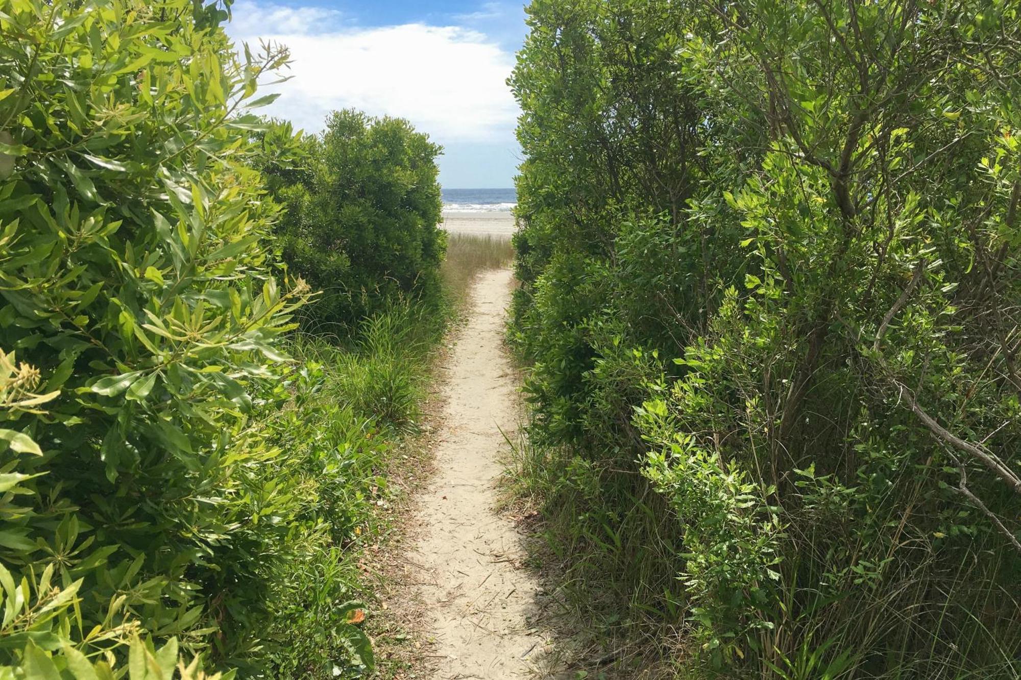 Dunes Pointe D-3 Myrtle Beach Eksteriør billede